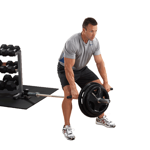 Body Solid SWT14 Standard Plate Tree Weight Plate Storage Body-Solid