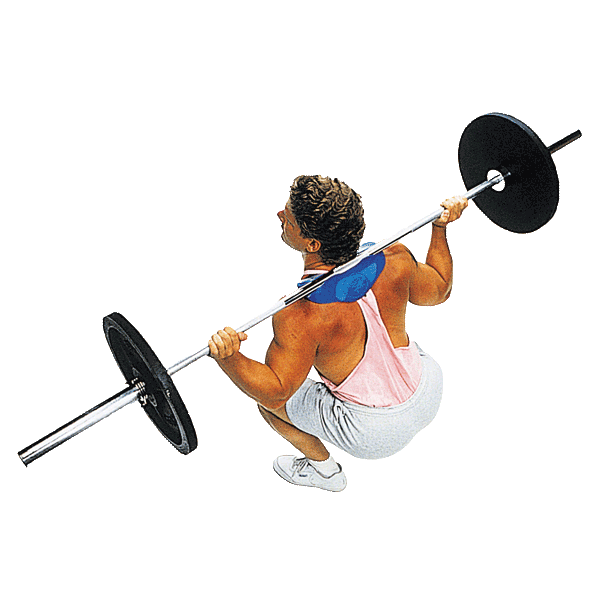 Body-Solid MANTA-RAY Strength Body-Solid