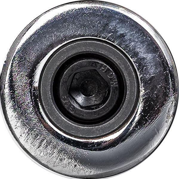 Body-Solid OLYMPIC CURL BAR (CHROME) Strength Body-Solid