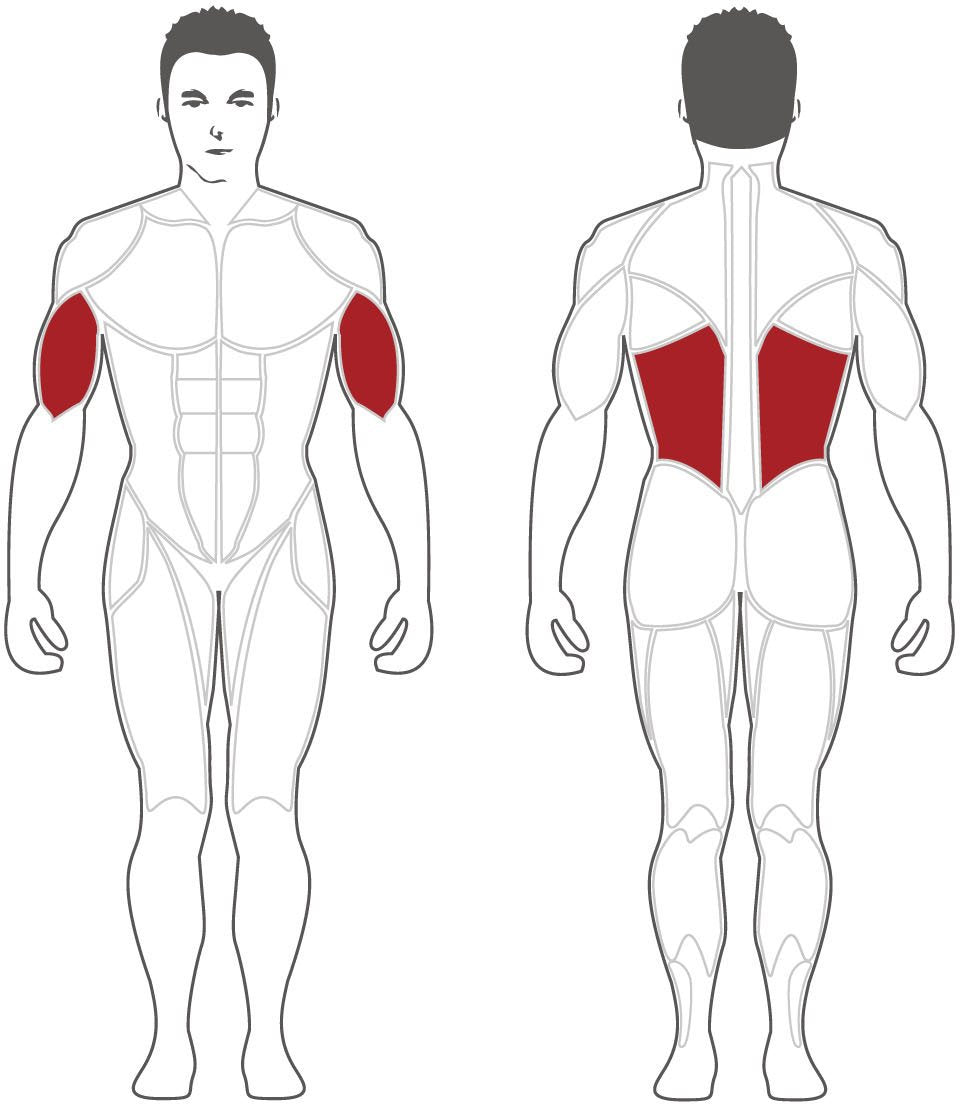 Steelflex PLLA Lat Pull Fitness Steelflex