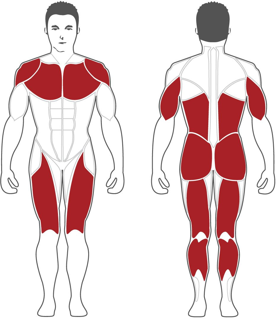 Steelflex M3DSM Free Smith Machine Fitness Steelflex