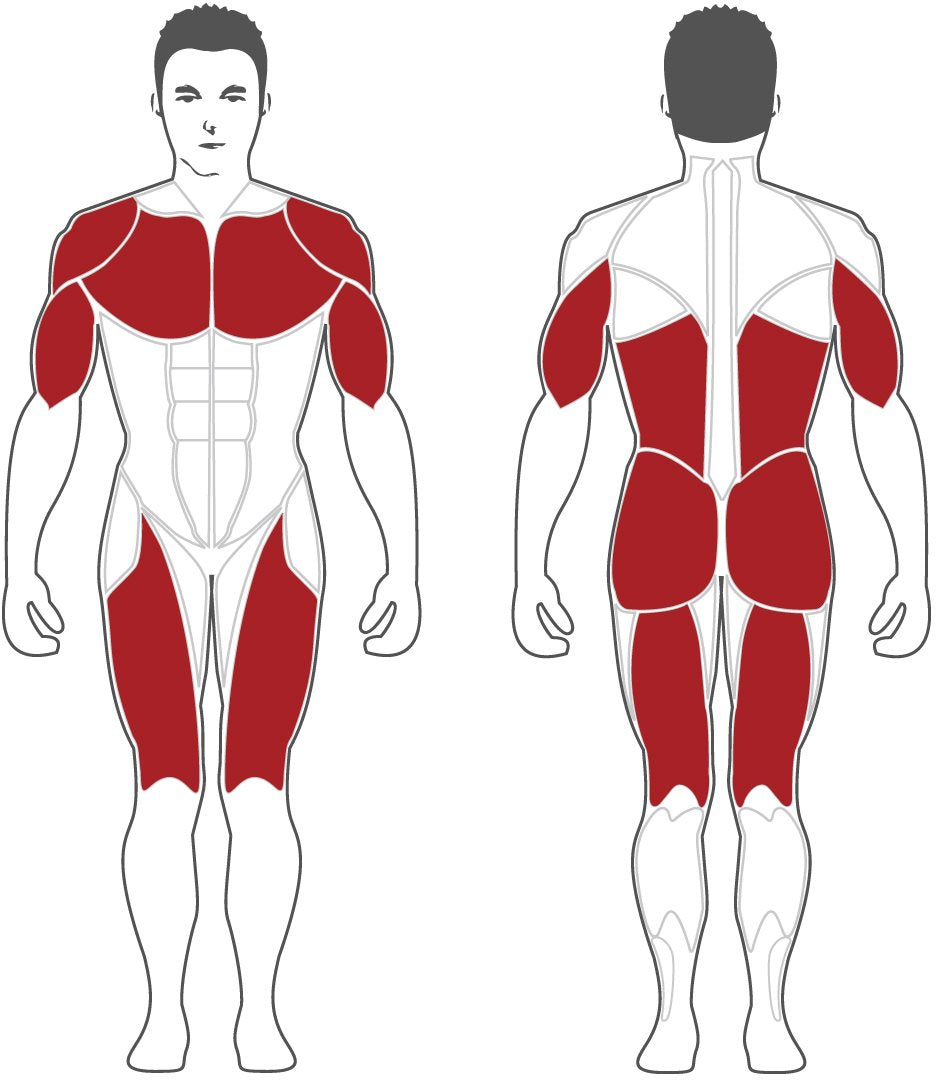 Steelflex MSM Counter Balanced Smith Machine Fitness Steelflex