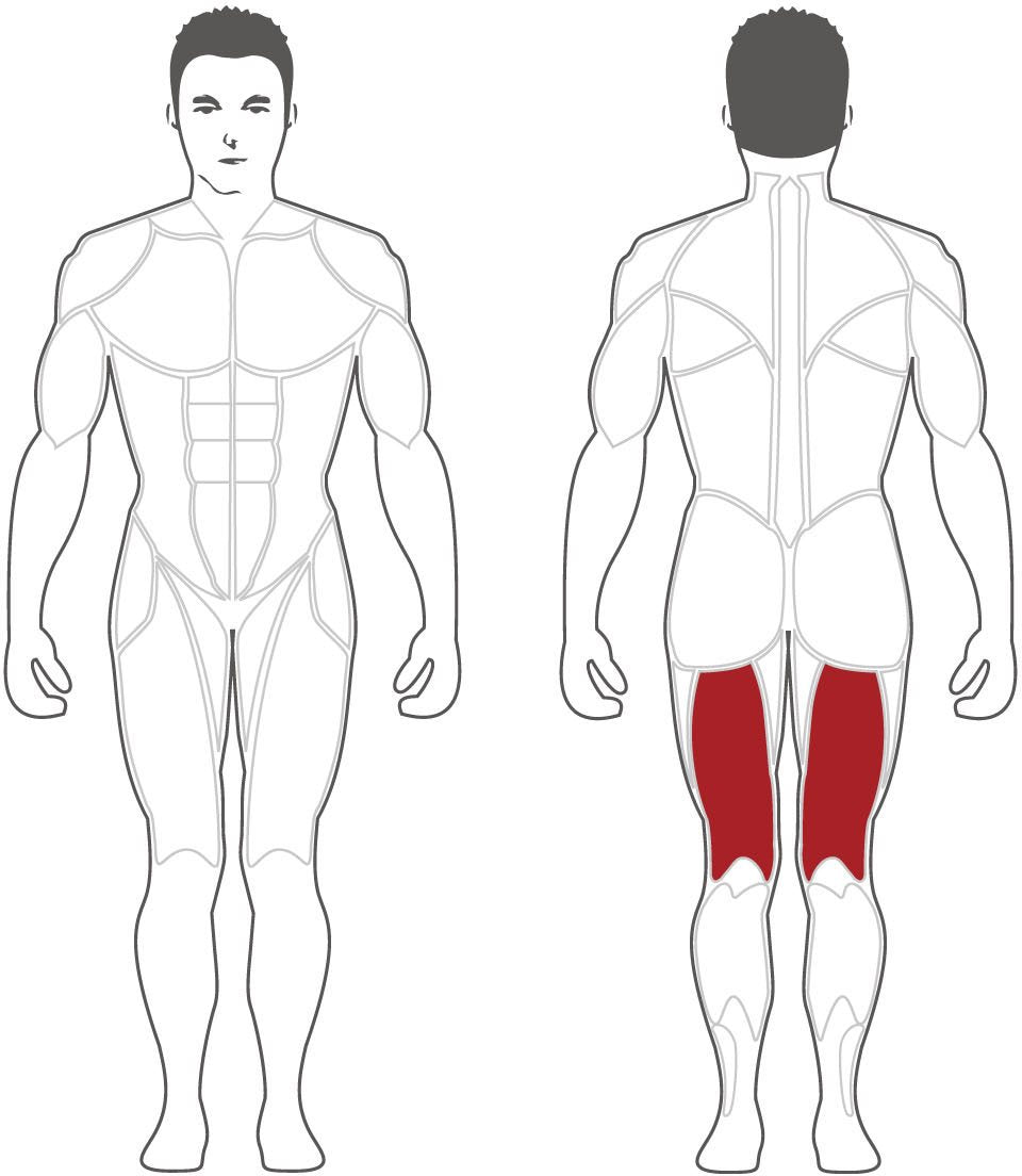 Steelflex PLLC Leg Curl Fitness Steelflex