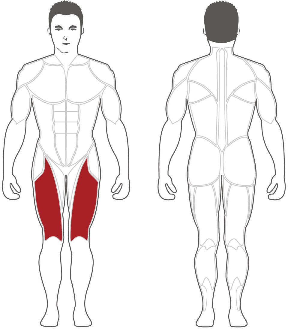 Steelflex PLLE Leg Extension Fitness Steelflex