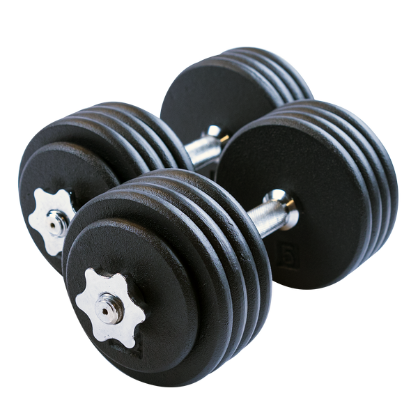 Body Solid Tools BSTADBPR Adjustable Dumbbell Set Adjustable Dumbbells Body-Solid