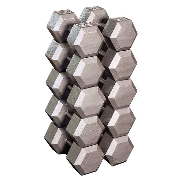 Body Solid SDS Hex Dumbbell Sets Dumbbell Set Body-Solid 55 - 75 lbs Set