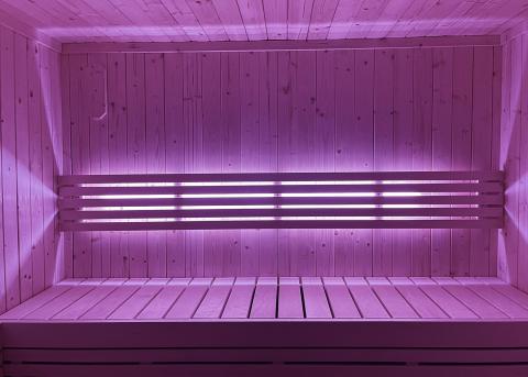 SaunaLife Mood Lighting for Model X6 Sauna SaunaLife