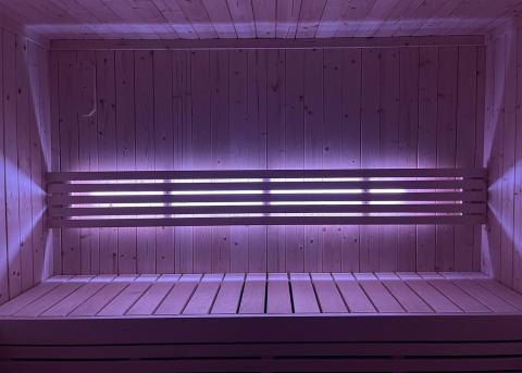 SaunaLife Mood Lighting for Model X6 Sauna SaunaLife