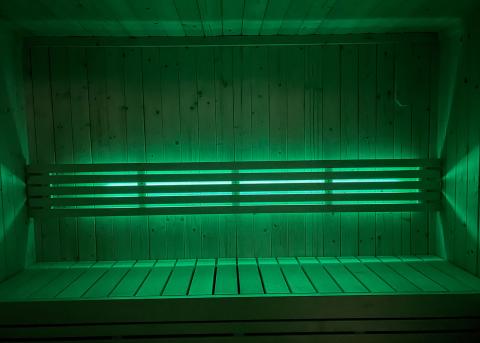 SaunaLife Mood Lighting for Model X6 Sauna SaunaLife