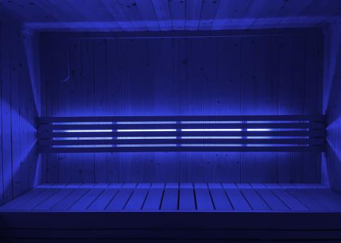 SaunaLife Mood Lighting for Model X6 Sauna SaunaLife